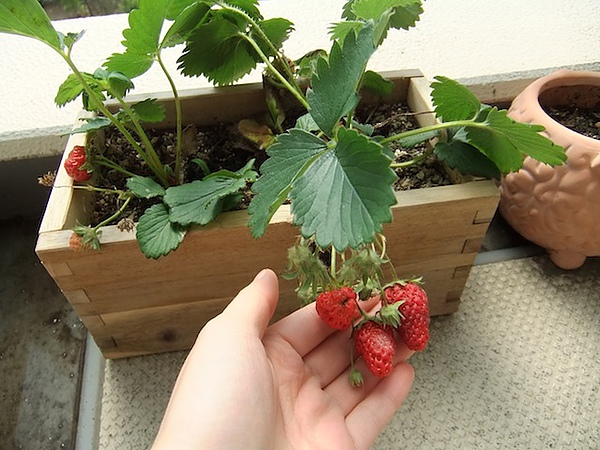 DSCF3391.JPG