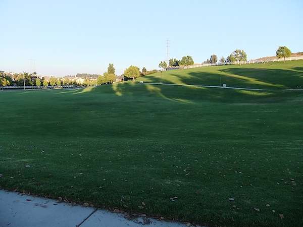 DSCF4475.JPG