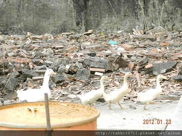 DSCN2789.JPG DSCN2789.JPG