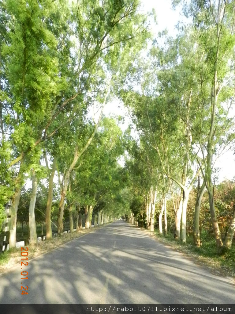 DSCN2797.JPG DSCN2797.JPG