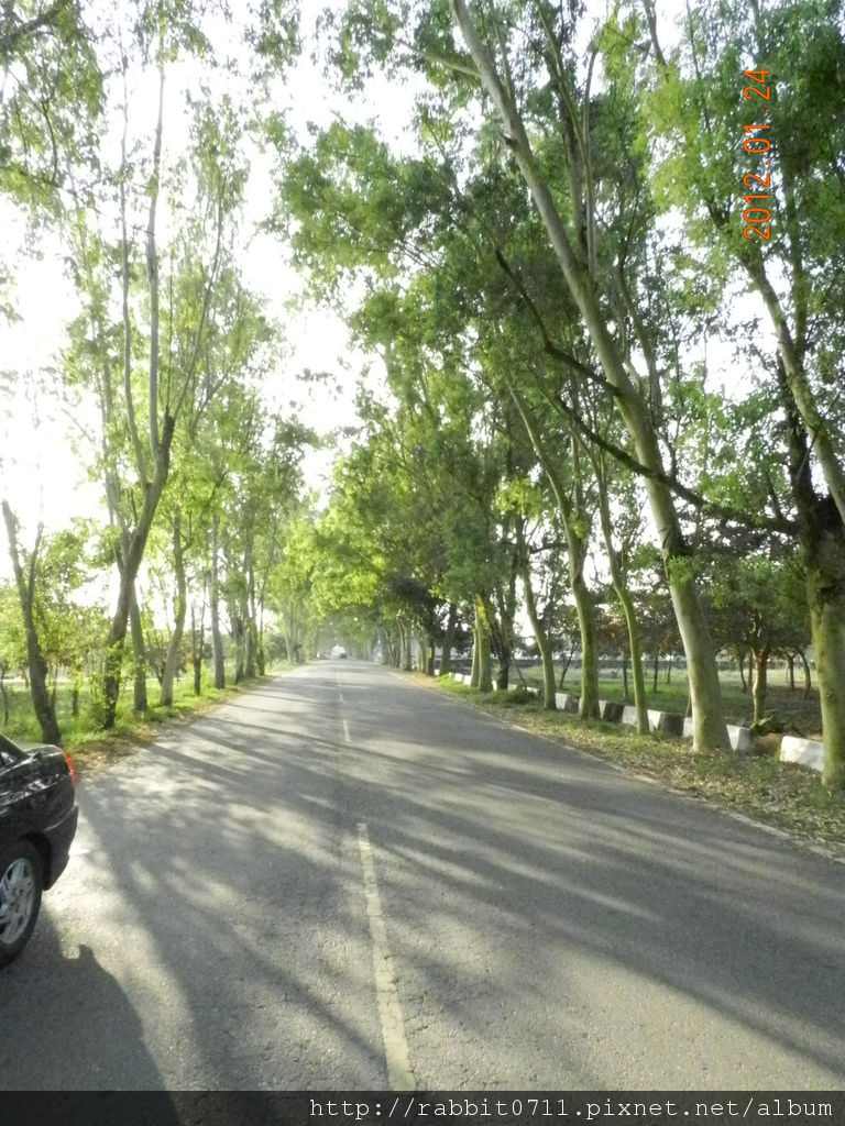 DSCN2798.JPG DSCN2798.JPG