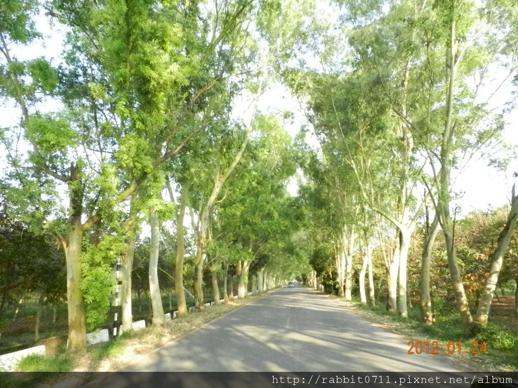 DSCN2799.JPG DSCN2799.JPG