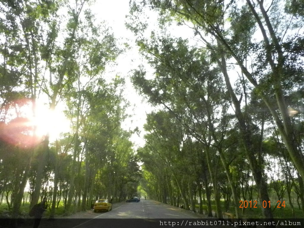 DSCN2801.JPG DSCN2801.JPG