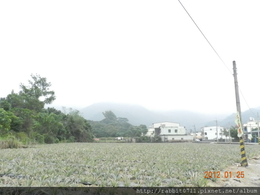 DSCN2804.JPG DSCN2804.JPG