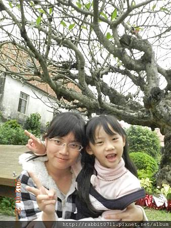 DSCN2830.JPG DSCN2830.JPG