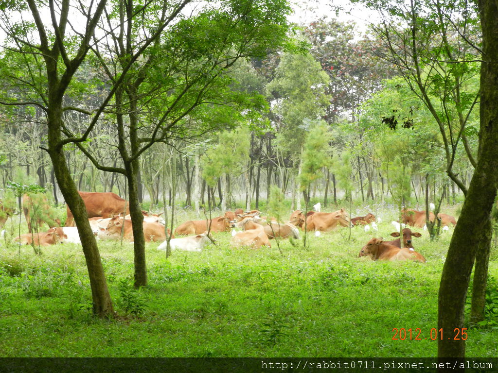 DSCN2854.JPG DSCN2854.JPG