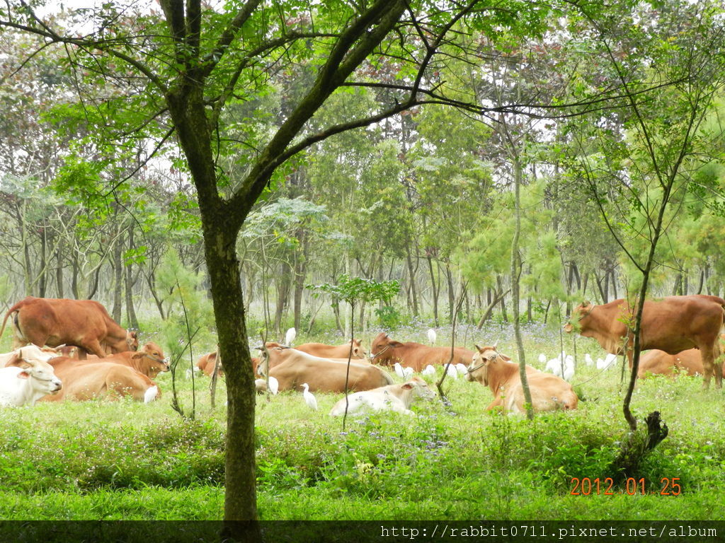 DSCN2857.JPG DSCN2857.JPG