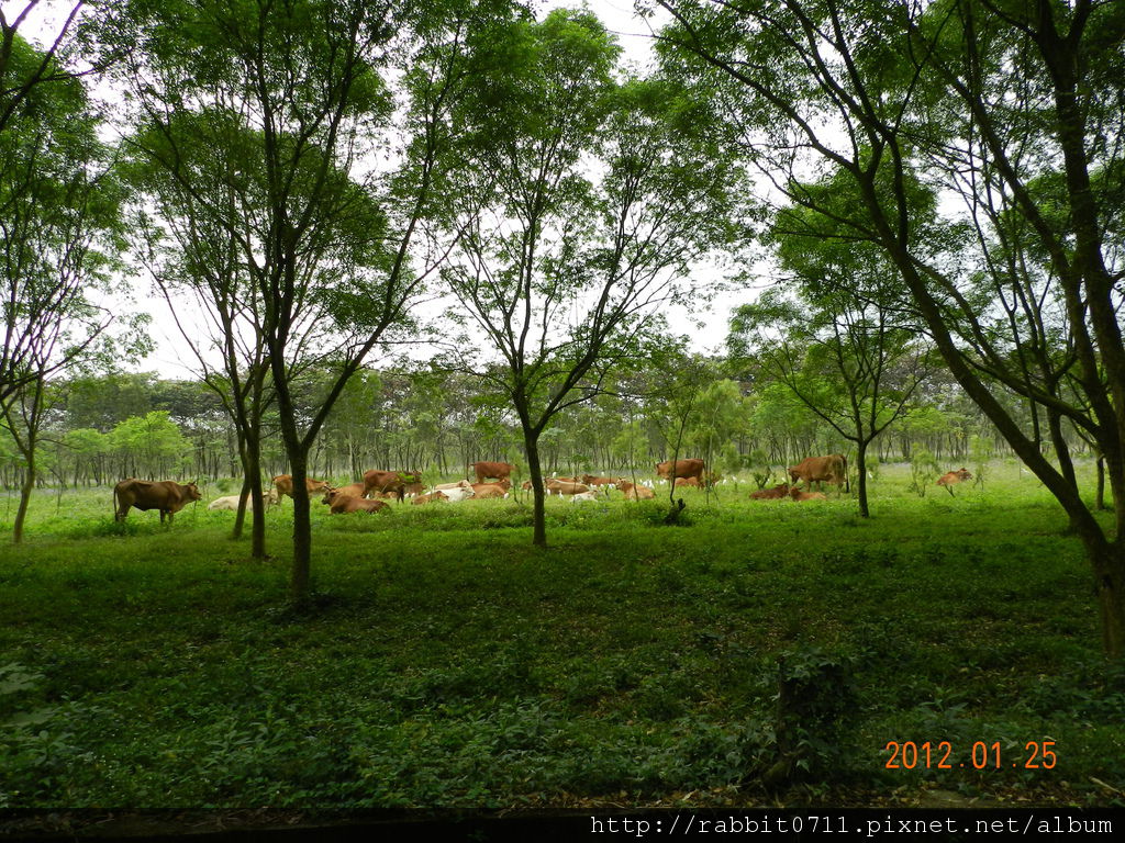 DSCN2858.JPG DSCN2858.JPG