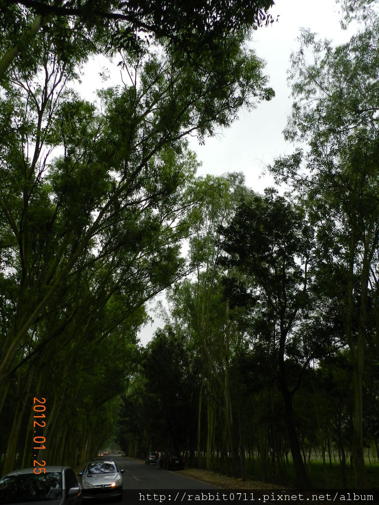 DSCN2860.JPG DSCN2860.JPG