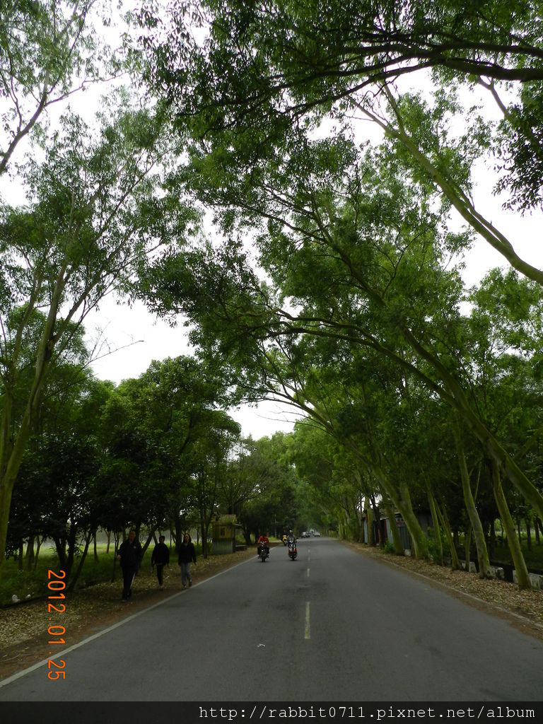 DSCN2862.JPG DSCN2862.JPG