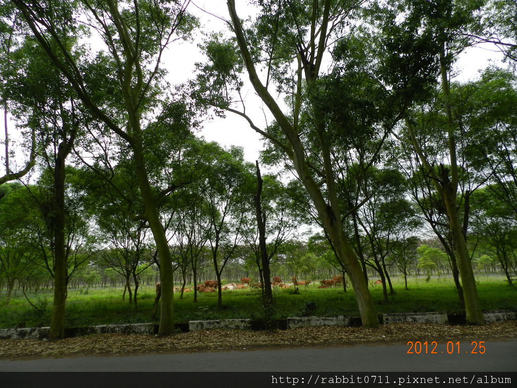 DSCN2865.JPG DSCN2865.JPG