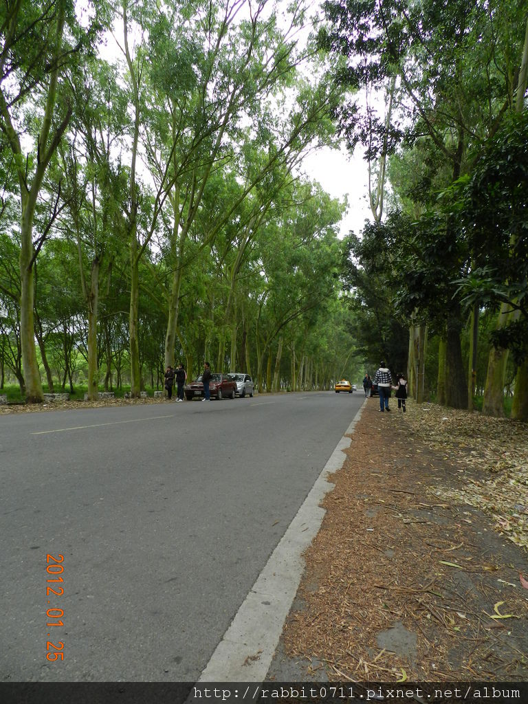 DSCN2867.JPG DSCN2867.JPG