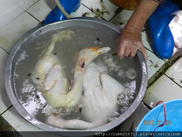 DSCN2893.JPG DSCN2893.JPG