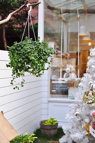 台中小屋雜貨Angel Lala-3 台中小屋雜貨Angel Lala-3