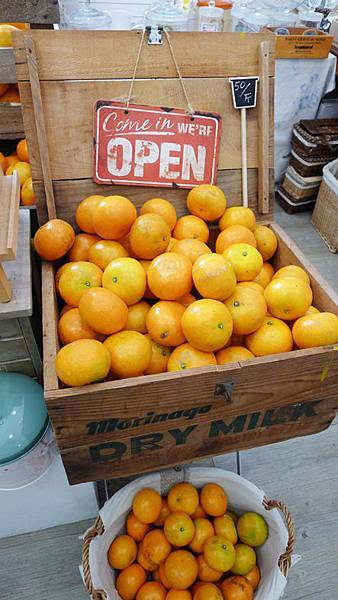 台中小樹苗雜貨3 台中小樹苗雜貨3