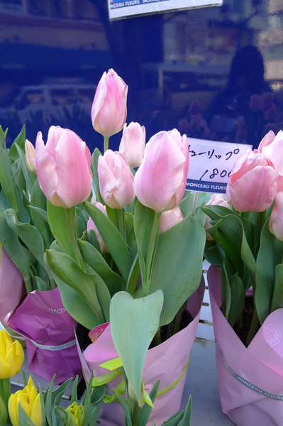 20110131自由之丘13.jpg 20110131自由之丘13.jpg