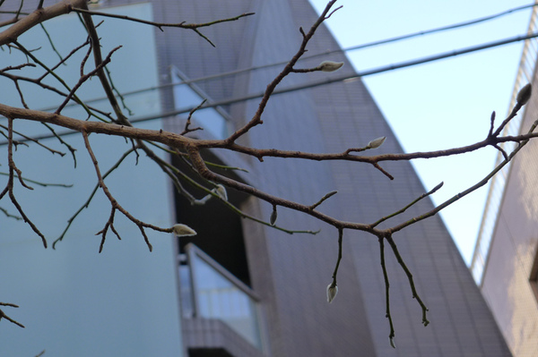 20110131自由之丘16.jpg 20110131自由之丘16.jpg