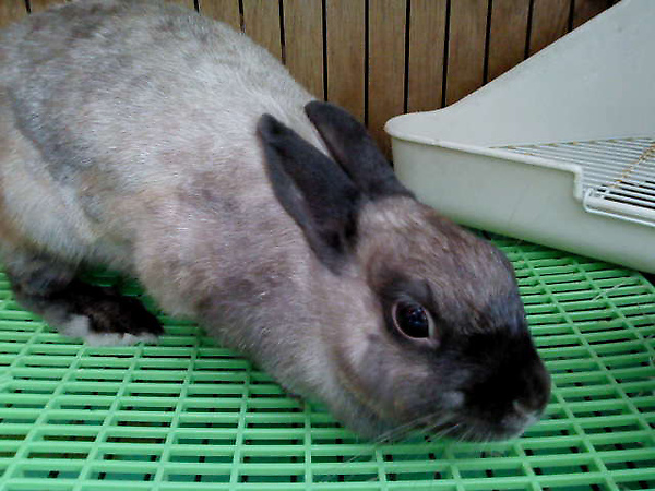 DSC00088.JPG DSC00088.JPG