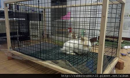 10150804_786459328031491_6686478110466457754_n