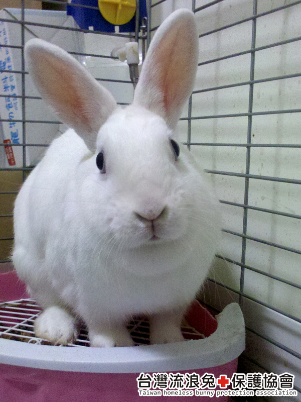 2013-01-22_00-27-59_577 2013-01-22_00-27-59_577