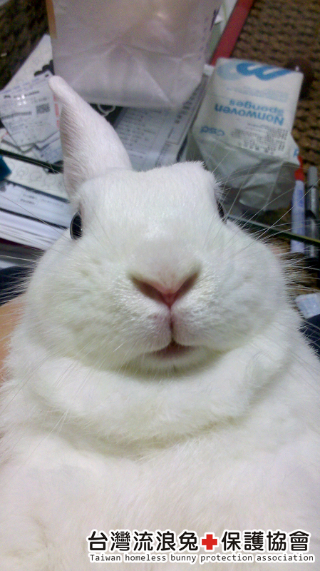 2012-09-21_00-08-19_492 2012-09-21_00-08-19_492