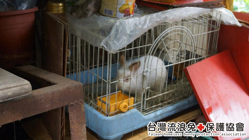魯夫_通報救援 魯夫_通報救援