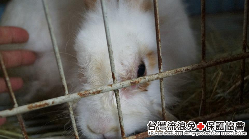 魯夫_通報救援 魯夫_通報救援