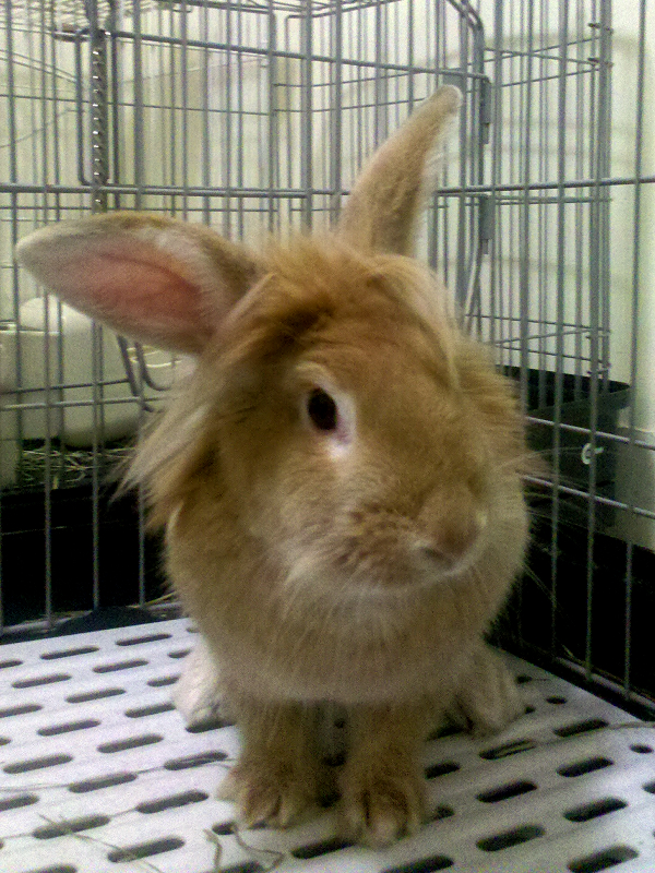 2013-03-05_2 2013-03-05_2