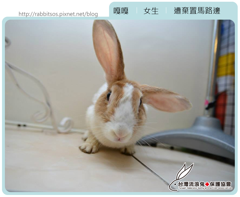嘎嘎 嘎嘎
