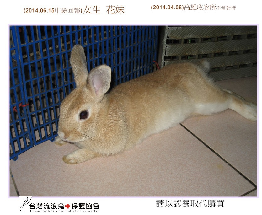 PhotoCap_01花妹.jpg PhotoCap_01花妹.jpg