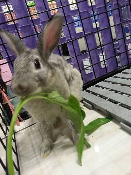 20140827_221606 20140827_221606