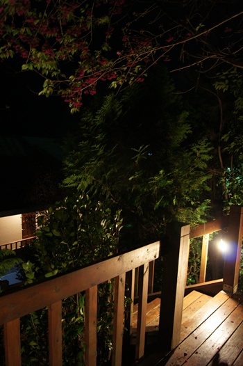 DSC00130 DSC00130