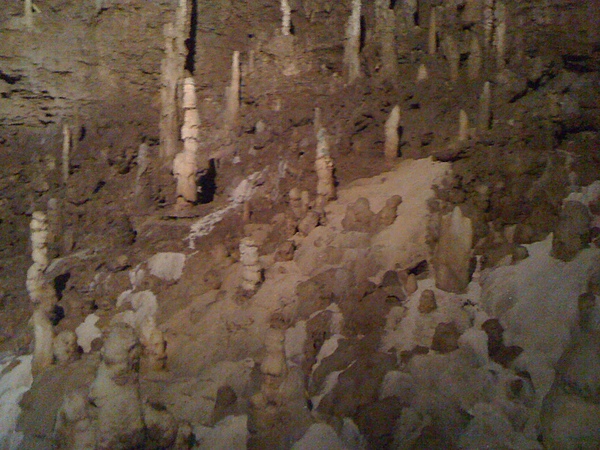 IMG_0189.JPG IMG_0189.JPG