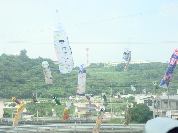 漂亮的鯉魚旗2 漂亮的鯉魚旗2