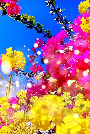 20130520_9 20130520_9