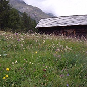 R0015317.JPG