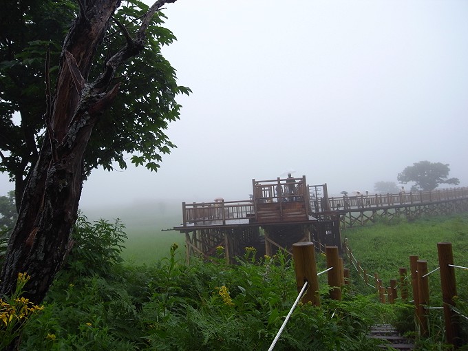 R0018937.jpg