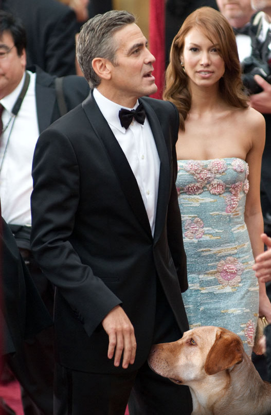 主人好臭 主人好臭