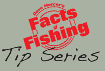 logo_fof_tips.jpg