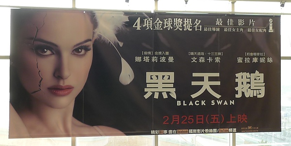 黑天鵝 黑天鵝