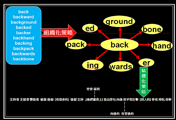 利用組織化策略與精緻化策略來背單字
