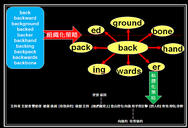 利用組織化策略與精緻化策略來背單字 利用組織化策略與精緻化策略來背單字