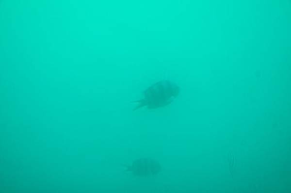 20140919_047.jpg 20140919_047.jpg