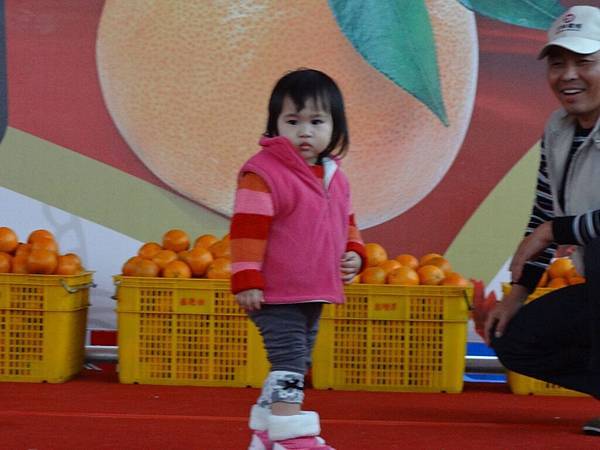 DSC04727.jpg DSC04727.jpg