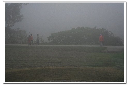 【新七日瑜珈斷食】濃霧散去 【新七日瑜珈斷食】濃霧散去