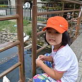 雲科餵鴨 031 雲科餵鴨 031