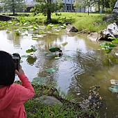雲科餵鴨 049 雲科餵鴨 049