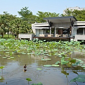 雲科餵鴨 056 雲科餵鴨 056