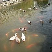 68699_500824549936977_2090303310_n 68699_500824549936977_2090303310_n