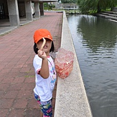 雲科餵鴨 006 雲科餵鴨 006